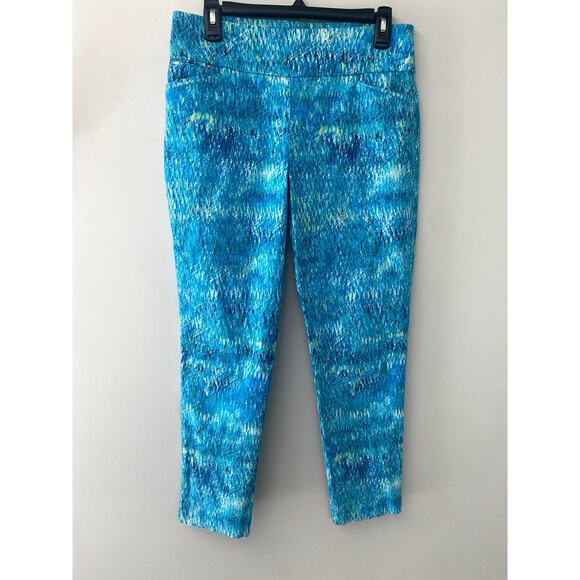 Attyre New York Audrey Ankle Slim Leg Pant Womens Sz 10 - Picture 9 of 9